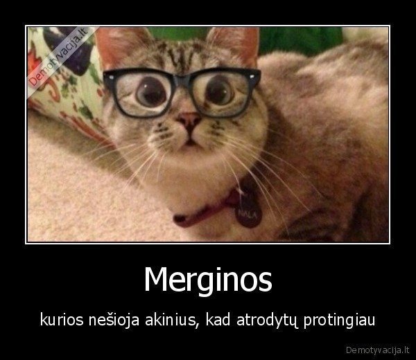 Merginos - kurios nešioja akinius, kad atrodytų protingiau. 