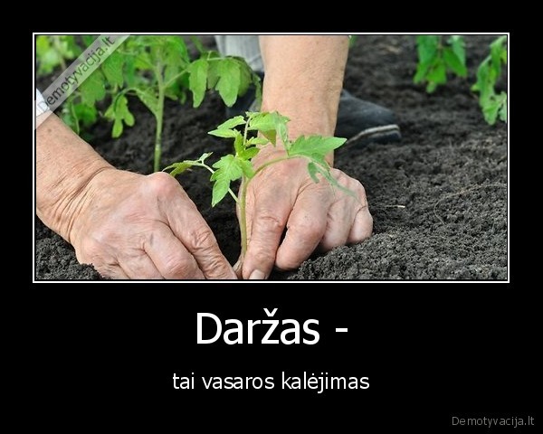 Daržas - - tai vasaros kalėjimas. 