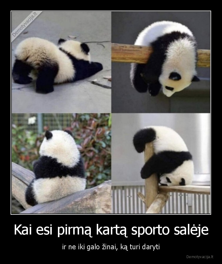 Kai esi pirmą kartą sporto salėje - ir ne iki galo žinai, ką turi daryti. 