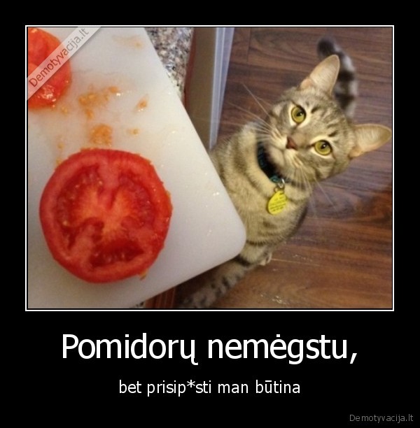 Pomidorų nemėgstu, - bet prisip*sti man būtina. 