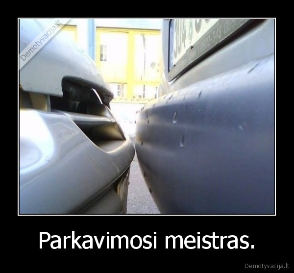 Parkavimosi meistras.. 
