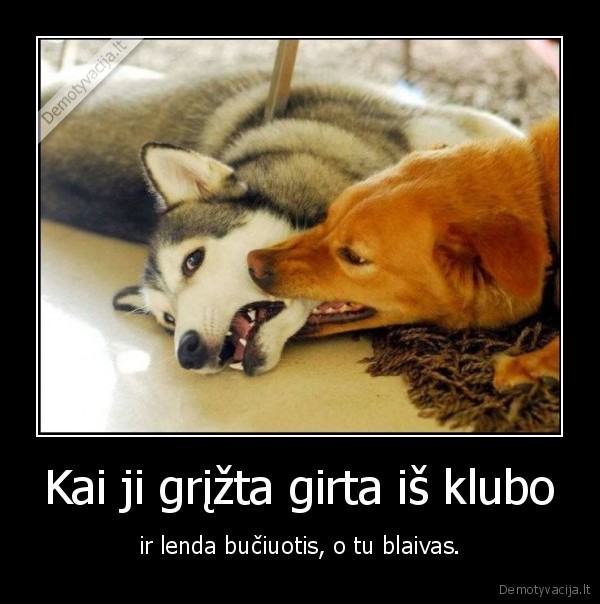 Kai ji grįžta girta iš klubo - ir lenda bučiuotis, o tu blaivas.. 
