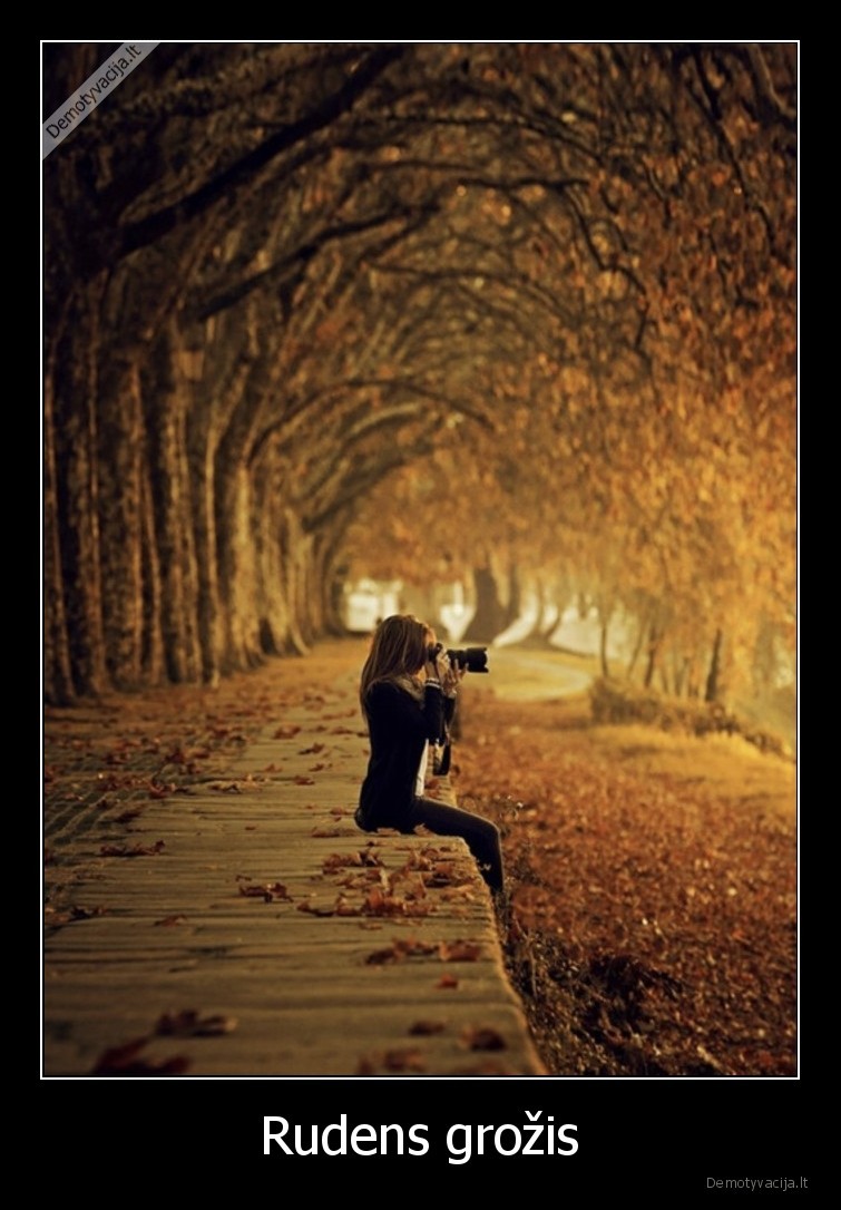 Rudens grožis. 