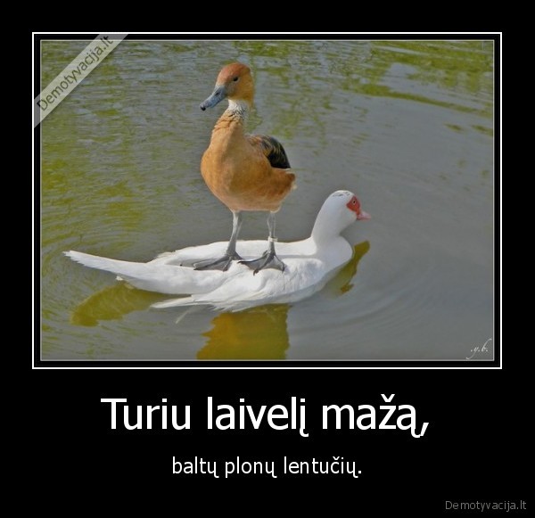 Turiu laivelį mažą, - baltų plonų lentučių.. 
