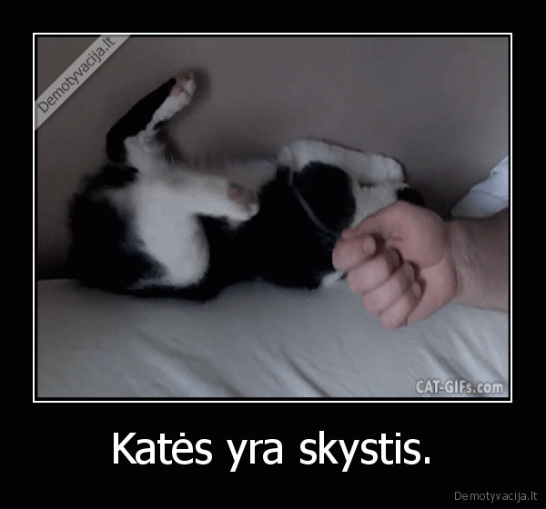 Katės yra skystis.. 