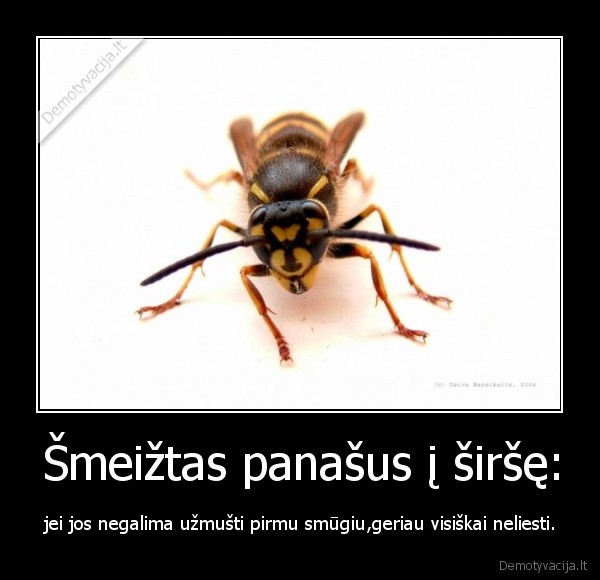 Šmeižtas panašus į širšę: - jei jos negalima užmušti pirmu smūgiu,geriau visiškai neliesti.