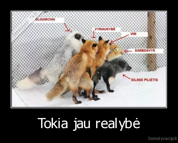Tokia jau realybė