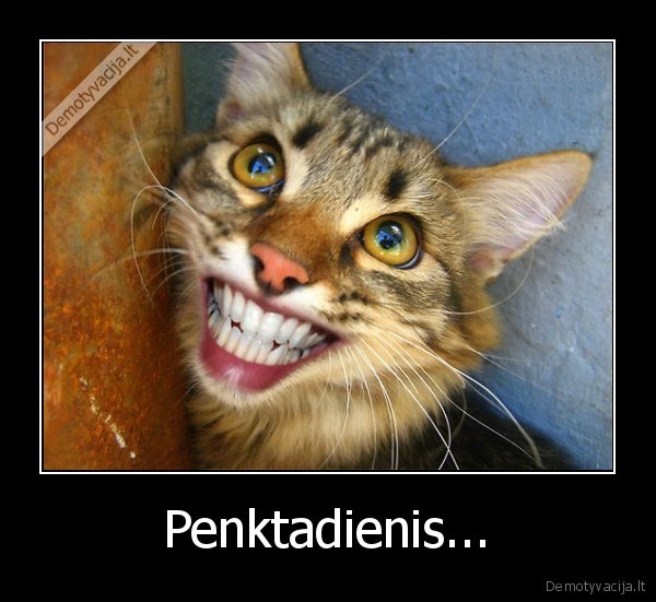 Penktadienis.... 