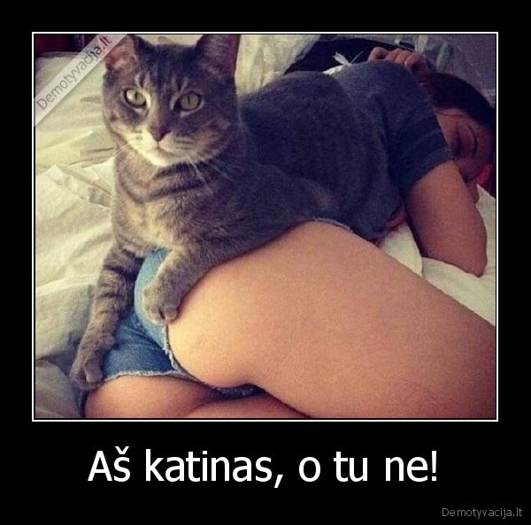 Aš katinas, o tu ne!. 