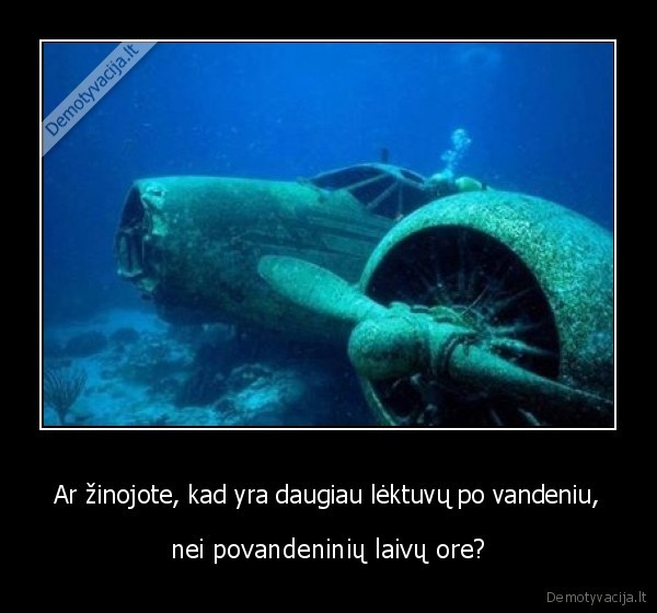Ar žinojote, kad yra daugiau lėktuvų po vandeniu, - nei povandeninių laivų ore?. 