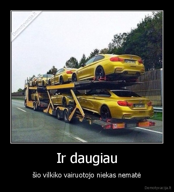 Ir daugiau - šio vilkiko vairuotojo niekas nematė. 