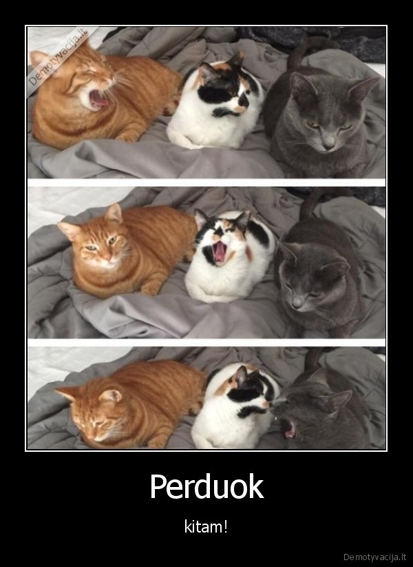 Perduok - kitam!. 