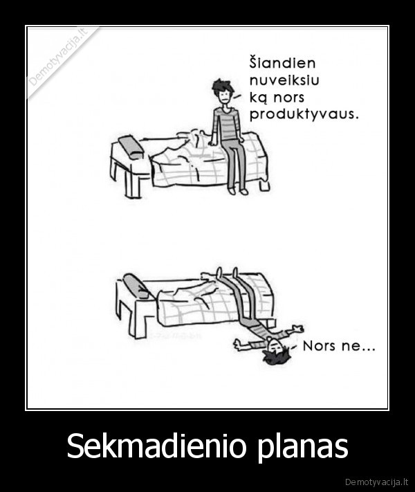 Sekmadienio planas. 