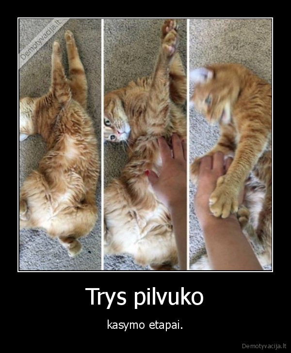 Trys pilvuko - kasymo etapai.. 