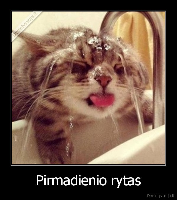 Pirmadienio rytas. 