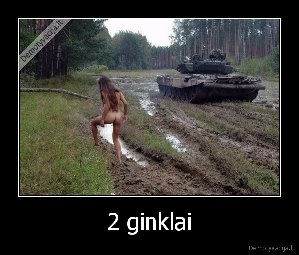 2 ginklai. 