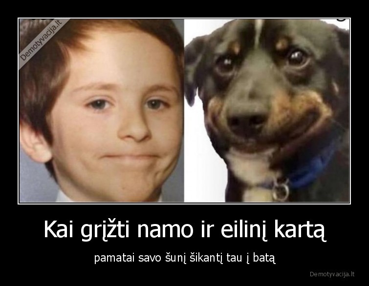 Kai grįžti namo ir eilinį kartą - pamatai savo šunį šikantį tau į batą. 