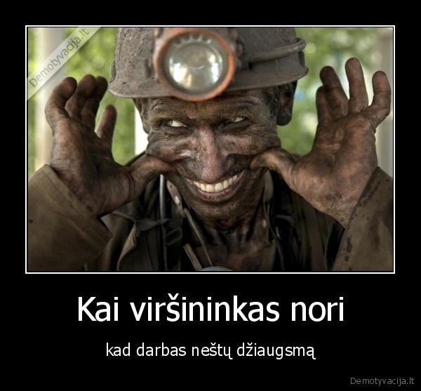 Kai viršininkas nori - kad darbas neštų džiaugsmą. 