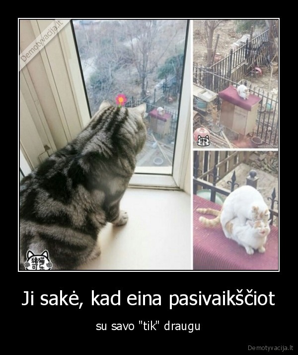 Ji sakė, kad eina pasivaikščiot - su savo 