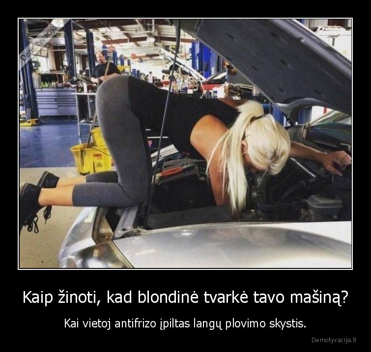 Kaip žinoti, kad blondinė tvarkė tavo mašiną? - Kai vietoj antifrizo įpiltas langų plovimo skystis.. 