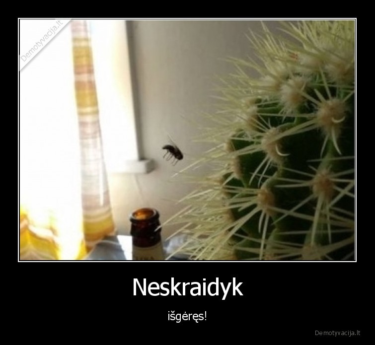Neskraidyk - išgėręs!. 