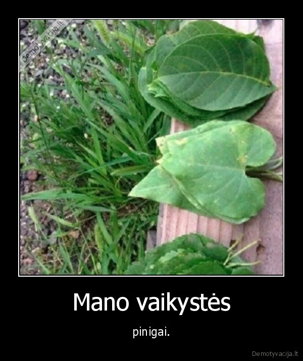 Mano vaikystės - pinigai.. 