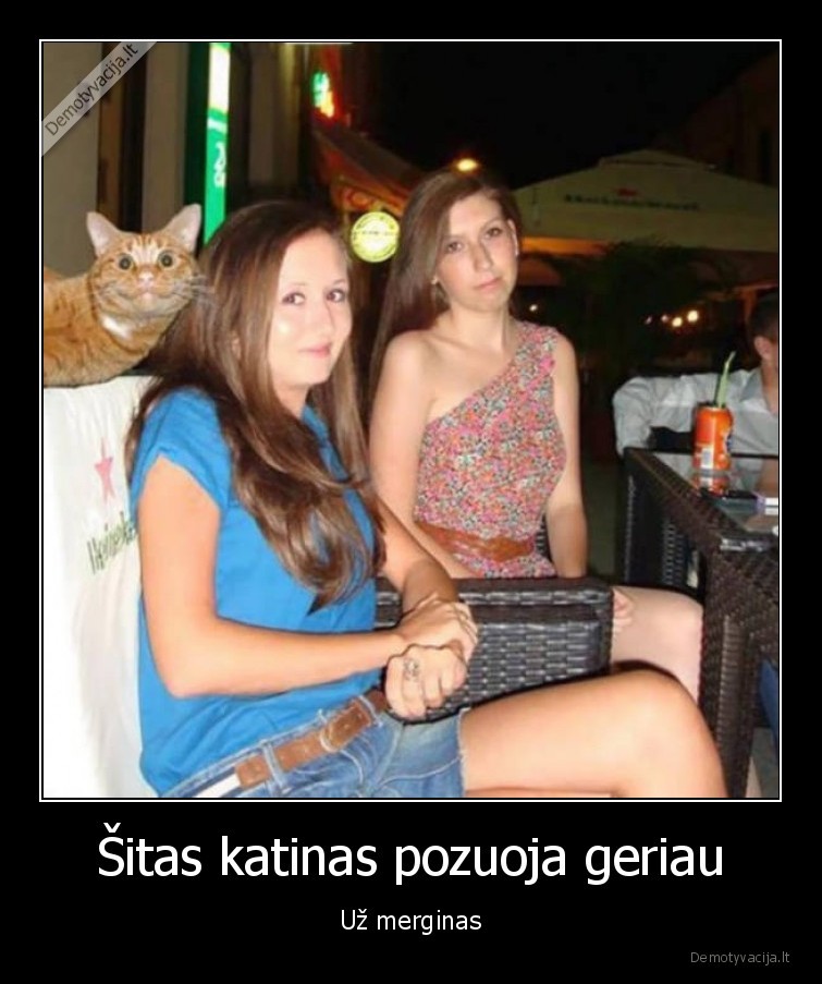 Šitas katinas pozuoja geriau - Už merginas. 