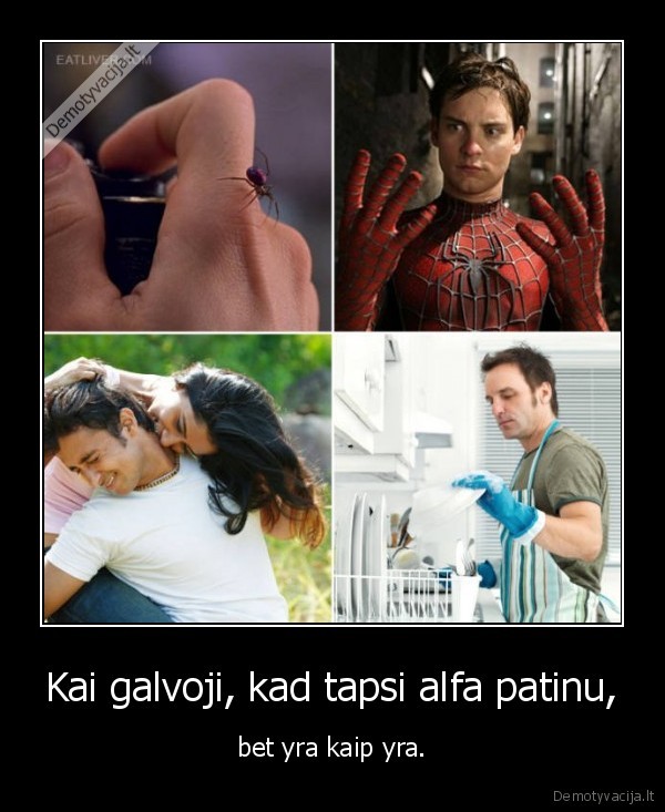 Kai galvoji, kad tapsi alfa patinu, - bet yra kaip yra.. 