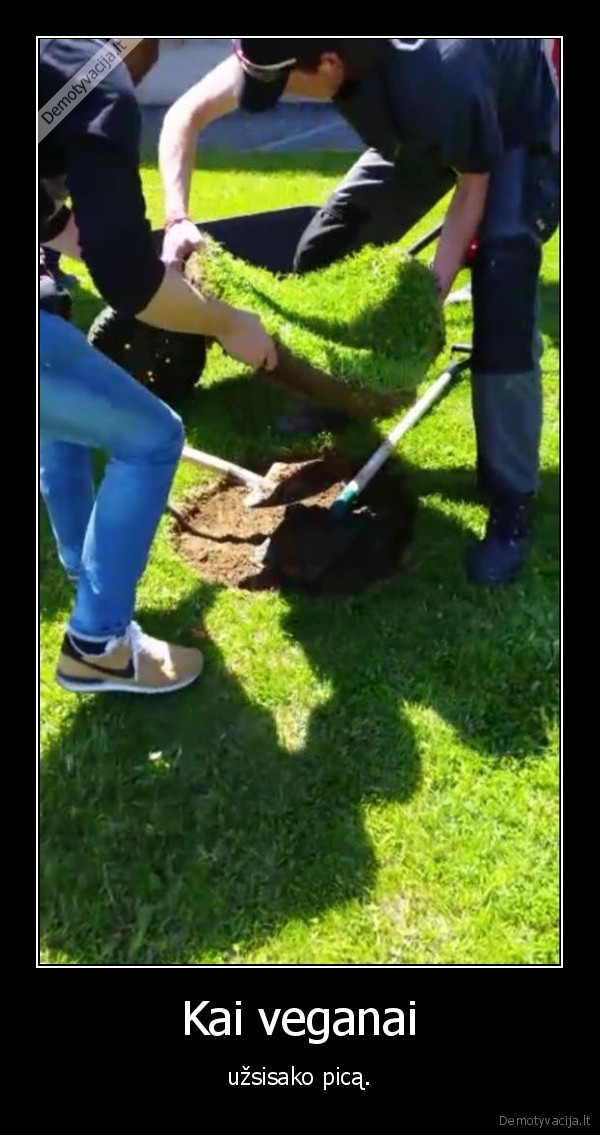 Kai veganai - užsisako picą.. 