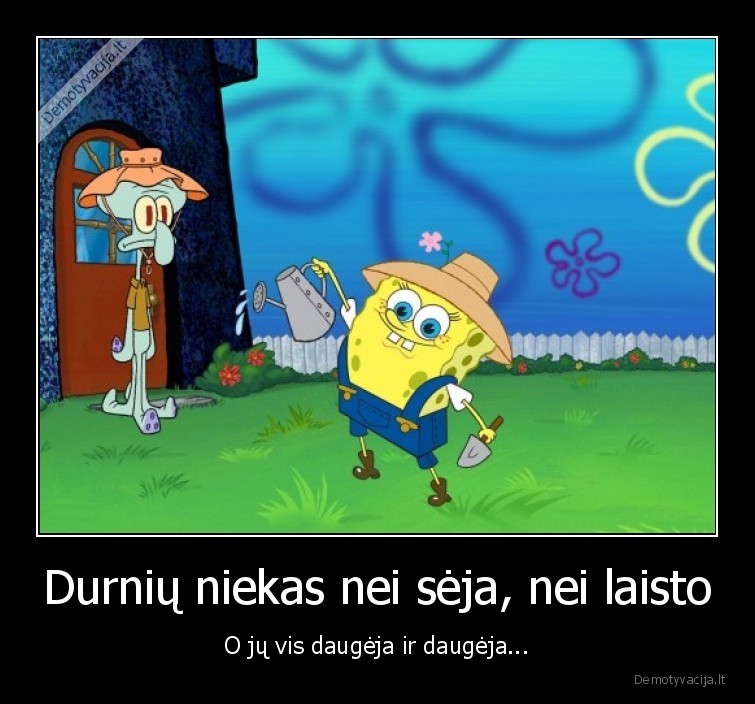 Durnių niekas nei sėja, nei laisto - O jų vis daugėja ir daugėja.... 