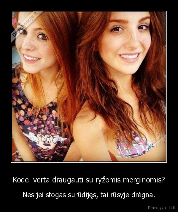 Kodėl verta draugauti su ryžomis merginomis? - Nes jei stogas surūdijęs, tai rūsyje drėgna.. 