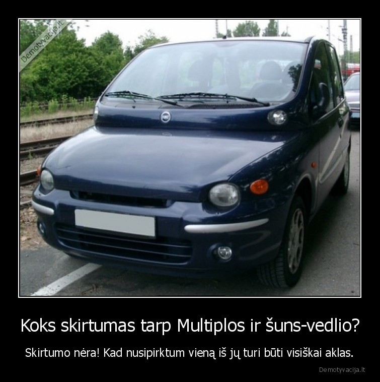 Koks skirtumas tarp Multiplos ir šuns-vedlio? - Skirtumo nėra! Kad nusipirktum vieną iš jų turi būti visiškai aklas.. 