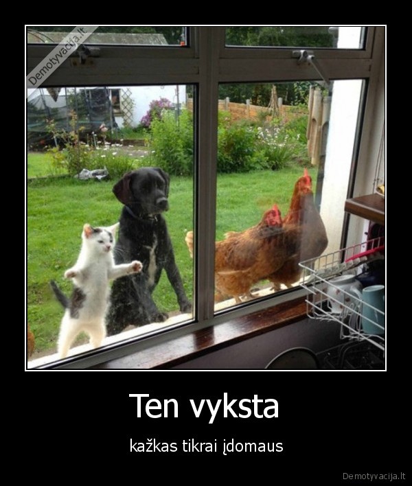 Ten vyksta - kažkas tikrai įdomaus. 